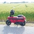 jaj0_0@mstdn.jp