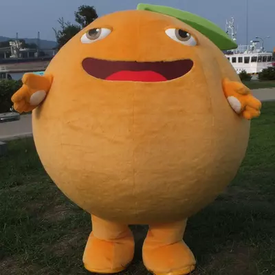 豆瓣君
