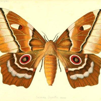 文学肾青年