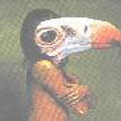 discusser-avatar