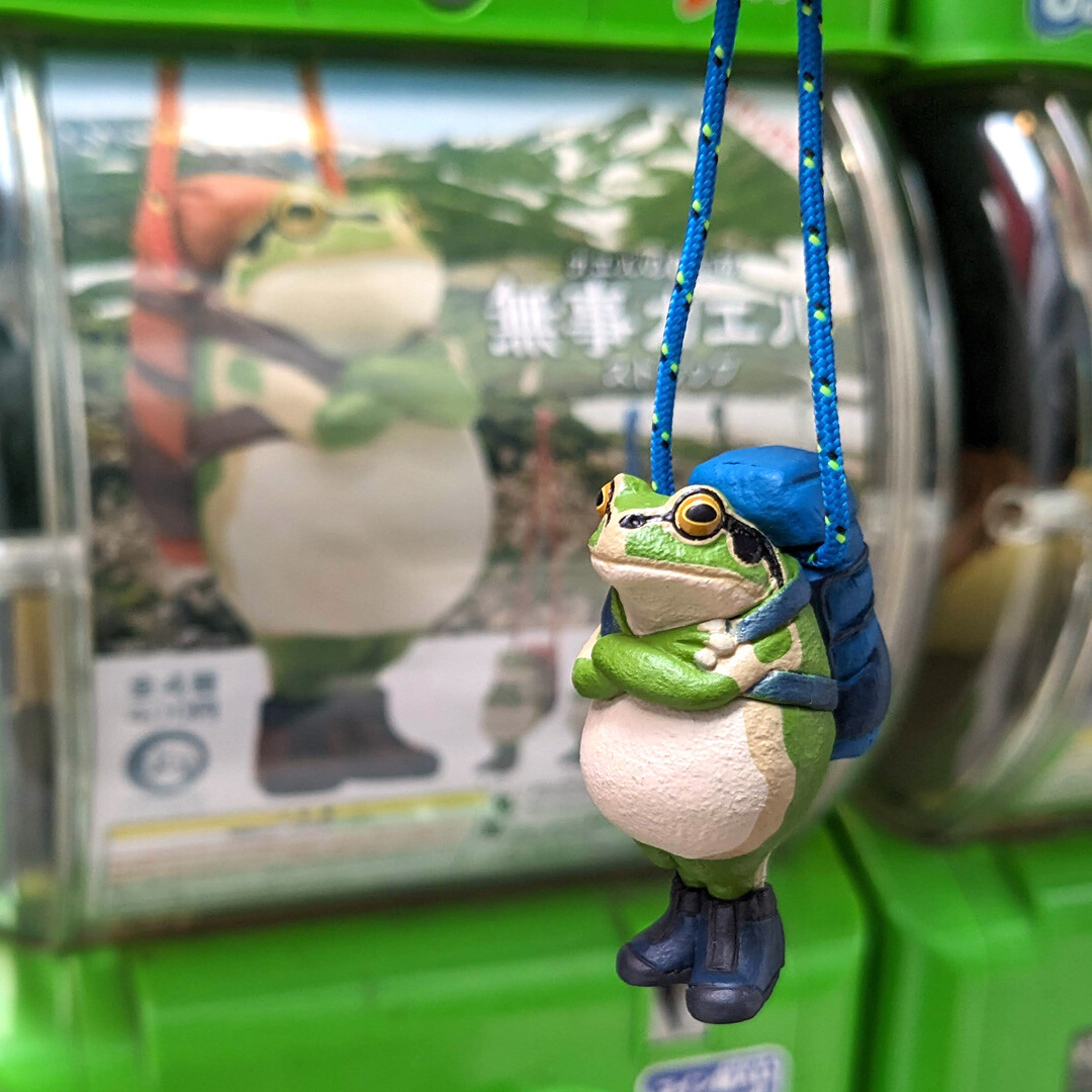 FROGS 自由が丘: 