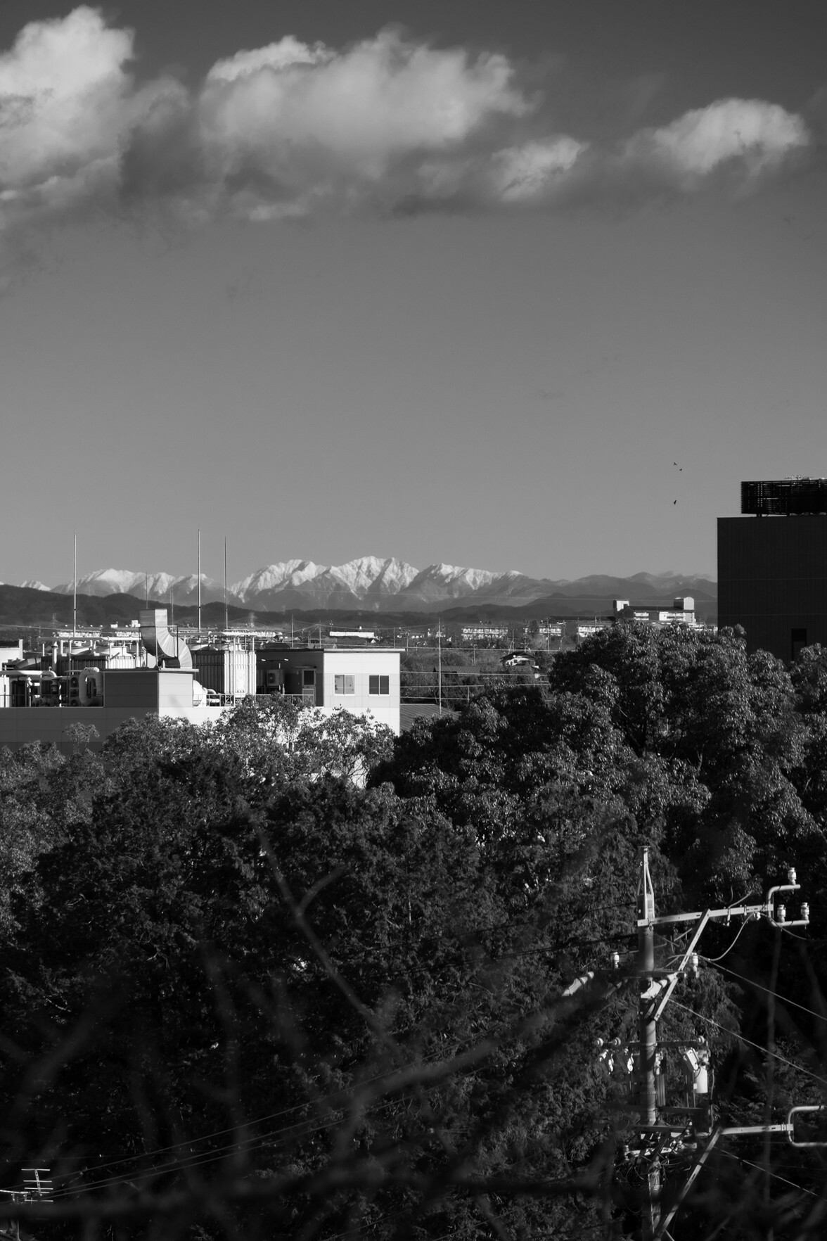 Sorry, no caption provided by author